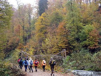 Spazieren im Tharandter Wald